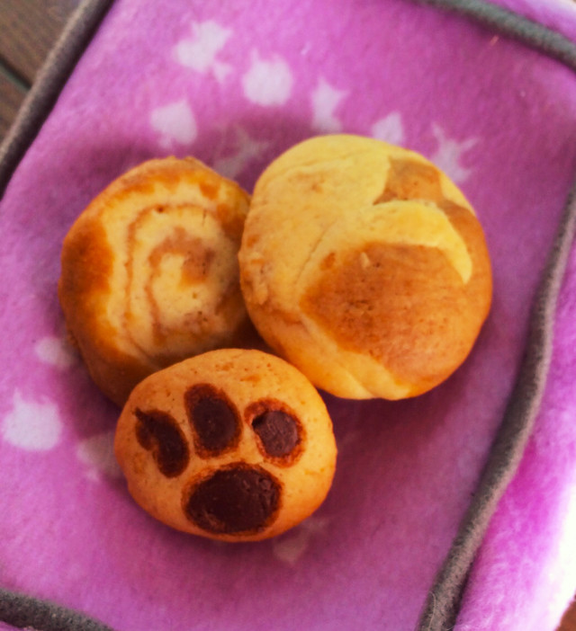 【簡単】猫クッキーの画像