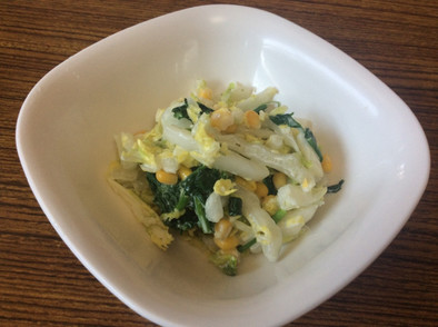 白菜のサラダの写真