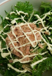 簡単ワサビ菜＆水菜サラダ(๛ ˘ ³˘)