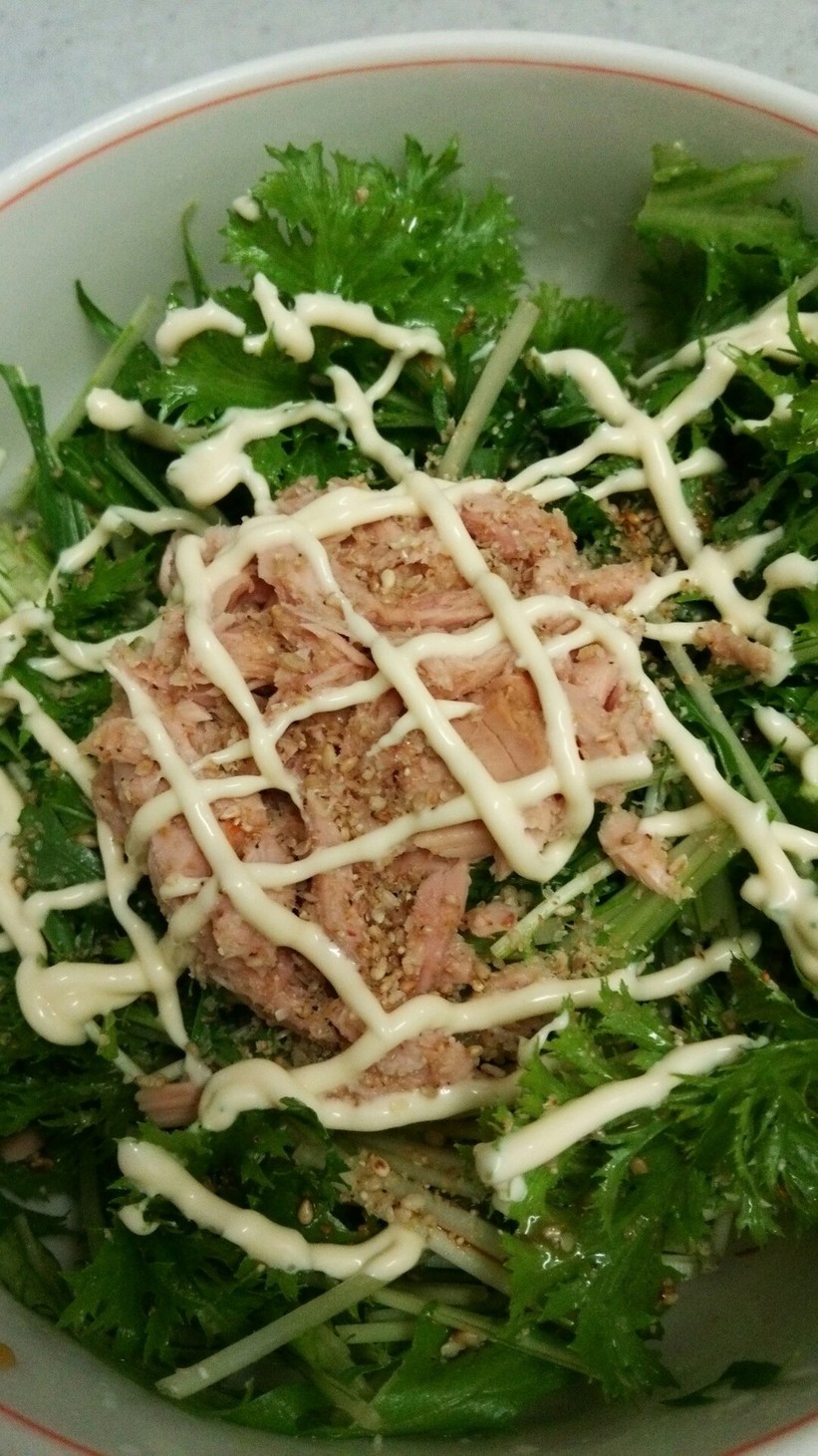 簡単ワサビ菜＆水菜サラダ(๛ ˘ ³˘)の画像