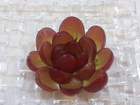 クリスマスや記念日に❤可愛い葡萄のお花