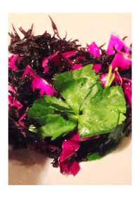 けみアミ美夕の紫キャベツとひじきのサラダ