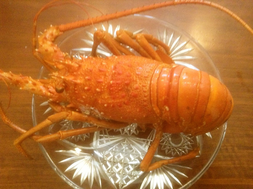 伊勢海老の一番簡単で美味しい食べ方 by やすみずまま 【クックパッド】 簡単おいしいみんなのレシピが358万品