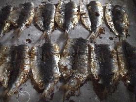 超簡単!イワシの生姜焼き