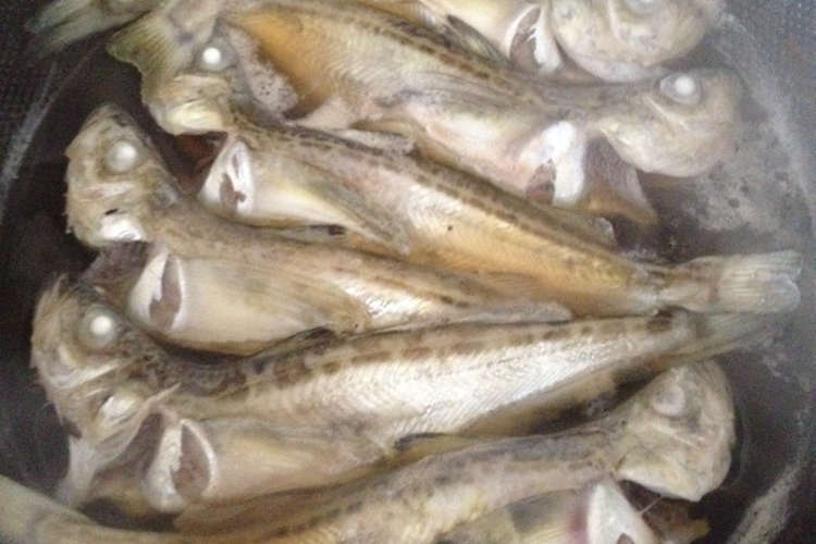 簡単 ハタハタの煮魚 甘め レシピ 作り方 By めがねのかず クックパッド 簡単おいしいみんなのレシピが353万品