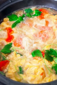 鶏味塩 de 餃子とトマトの酸辣湯鍋