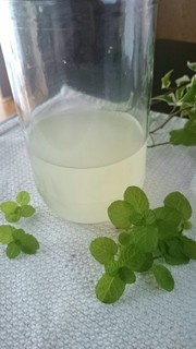 自家製酵母の作り方☆ミント★中種(元種)の写真