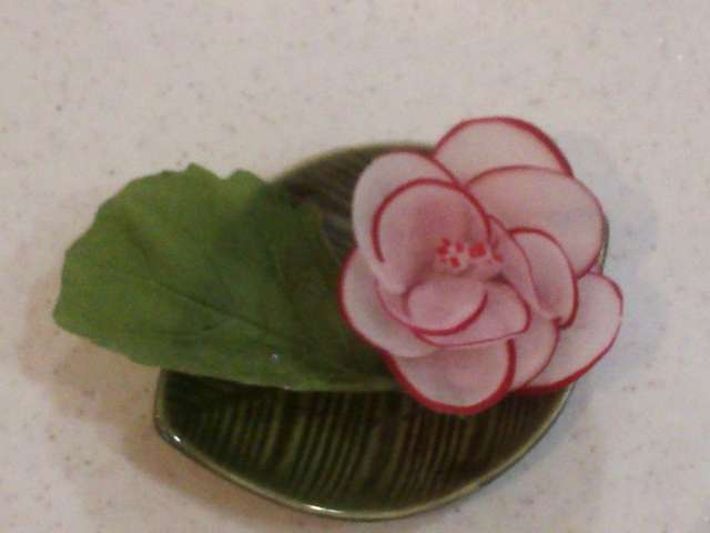 美しい花の画像 新鮮なラディッシュ 花