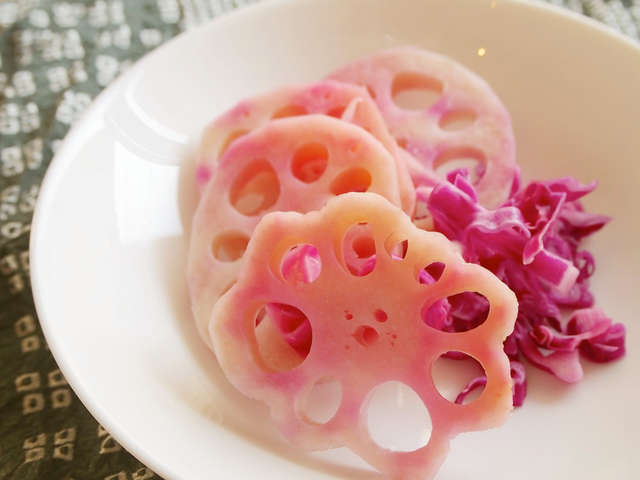 ユニークれんこん ピンク 最高の花の画像
