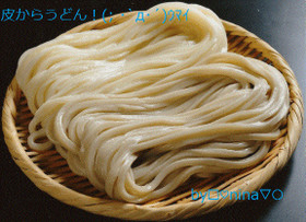 手打ちうどん!(; ・`д・´)ウマイ