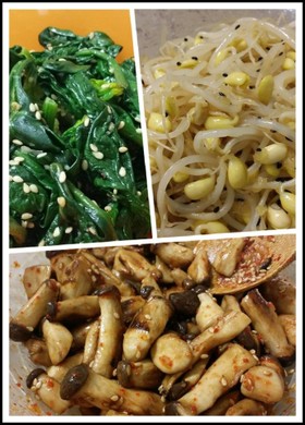 超万能ナムル! あると便利だよん!