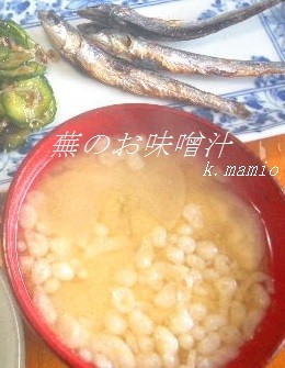 蕪の味噌汁～揚げ玉入り～の画像