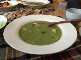 鮮やか！ほうれん草のグリーンシチュー♪