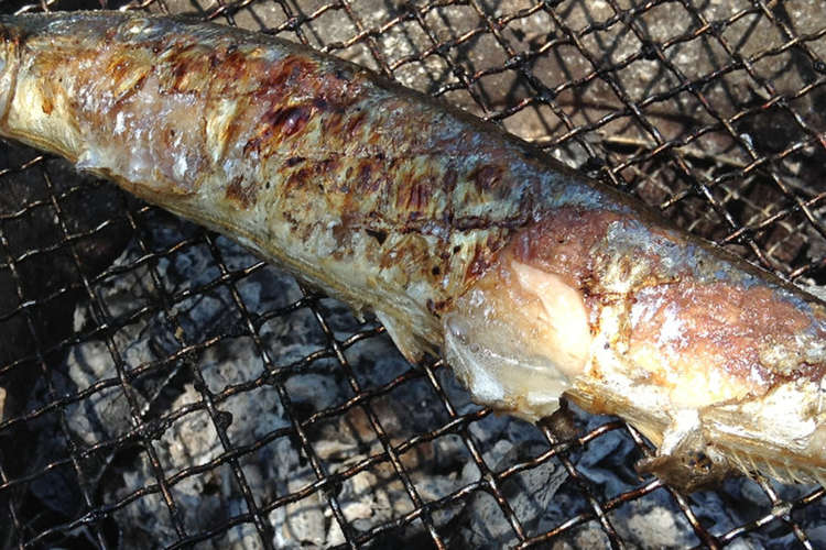 秋刀魚の炭火焼き レシピ 作り方 By Exleonis クックパッド 簡単おいしいみんなのレシピが353万品