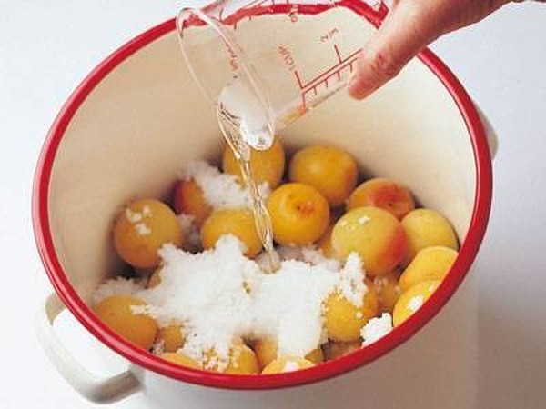 梅干しの塩漬け(下漬け)