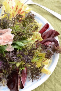 イタリア野菜の花束サラダ