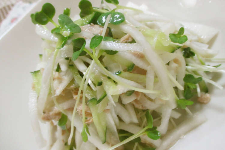 大根とツナとカイワレのサラダ 大量消費 レシピ 作り方 By Sakura クックパッド