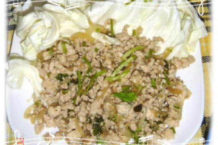 パクチーたっぷりラーブ 鶏挽肉のサラダ レシピ 作り方 By Tanapi クックパッド 簡単おいしいみんなのレシピが350万品