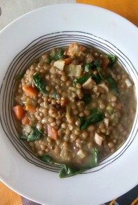 レンズ豆と野菜の煮込み