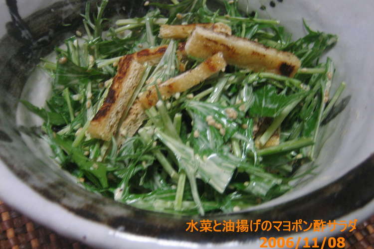 水菜と油揚げのマヨポン酢サラダ レシピ 作り方 By メーさん クックパッド 簡単おいしいみんなのレシピが353万品