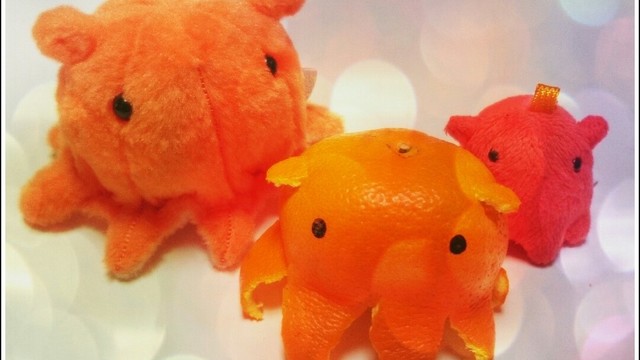 ギョギョっと深海魚 メンダコみかん レシピ 作り方 By 増田田増 クックパッド 簡単おいしいみんなのレシピが368万品