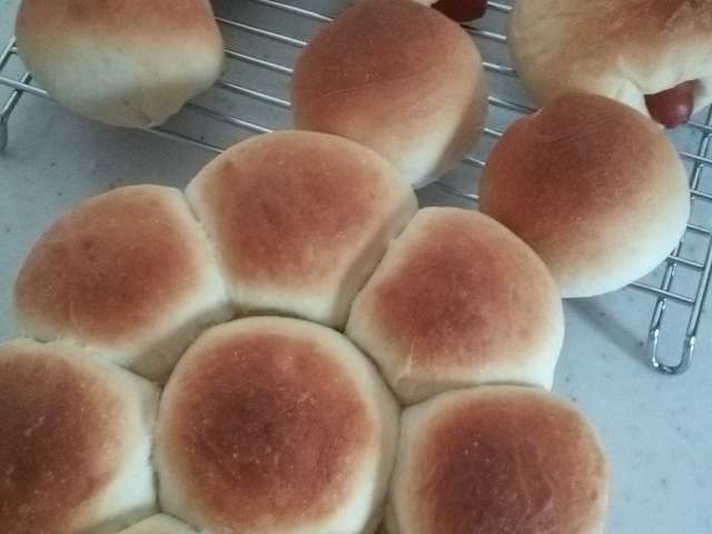 大量に成形パンを 扱いやすいパン生地 レシピ 作り方 By ４人の姫の