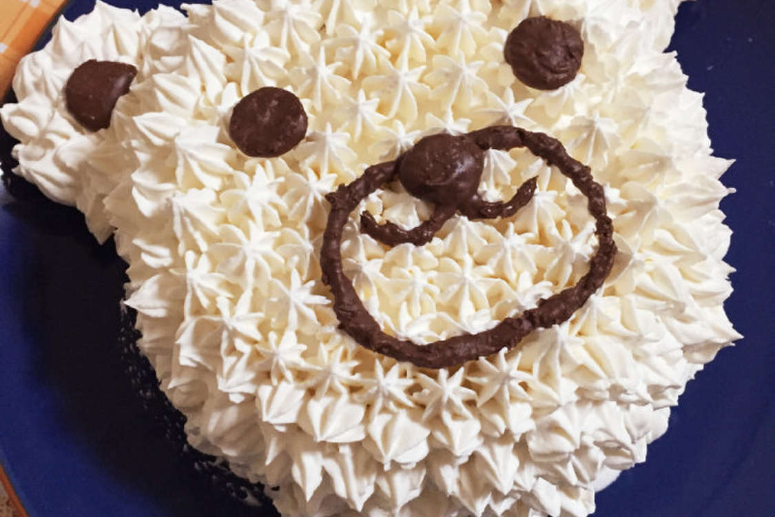 幅広type くまさんの梅雨のケーキ♪ - 通販 - www.bonkulovic.com
