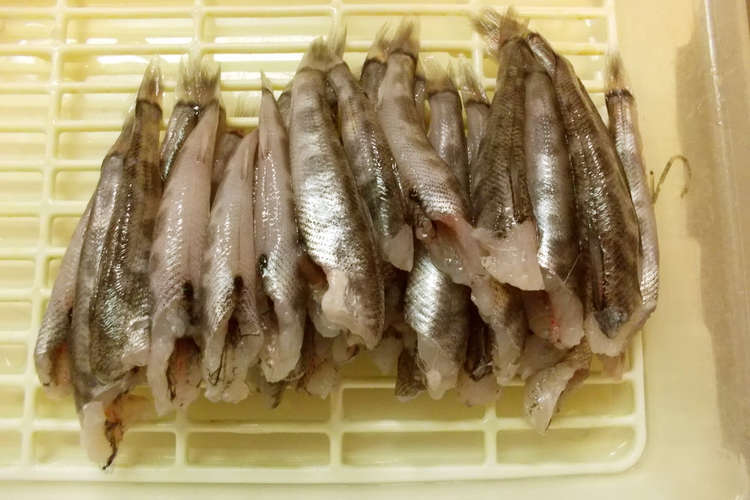 3ステップで超簡単 メヒカリの捌き方 レシピ 作り方 By 黒鯛チヌ子 クックパッド 簡単おいしいみんなのレシピが359万品