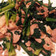簡単美味しい春菊と豚肉の炒め物