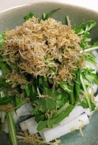 水菜と大根としらすのサラダ