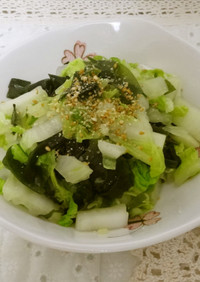 白菜とわかめの中華風ホットサラダ