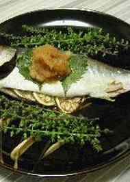 みんなが作ってる わかしのレシピ クックパッド 簡単おいしいみんなのレシピが356万品