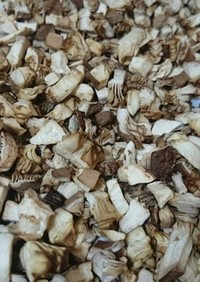 ヒラタケ（平茸）の処理と乾燥保存