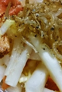 白菜と大根ととき色ひら茸のヘルシーサラダ