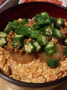 ネバネバ豆腐納豆丼