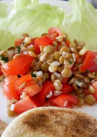 レンズ豆とトマトのサラダ
