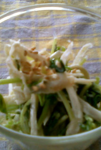 ごぼうと豆苗のコールスロー風サラダ