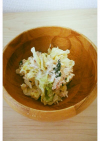 白菜の海苔マヨサラダ