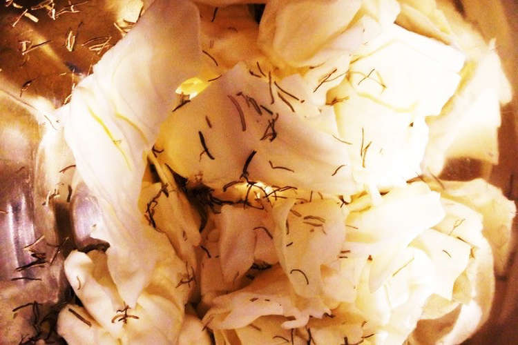 塩キャベツ 簡単 塩 ごま油 刻み昆布 レシピ 作り方 By あやちゃんin札幌 クックパッド 簡単おいしいみんなのレシピが357万品