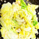 白菜消費レシピ！ツナと白菜のサラダ