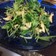ささみと三つ葉の海苔サラダ