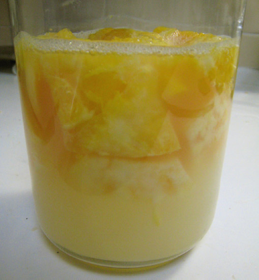 フルーティーな天然酵母。オレンジ酵母の画像