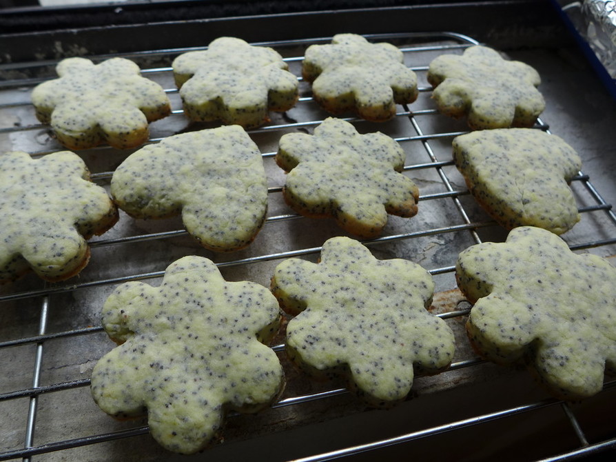 Lemon Poppy Cookiesの画像