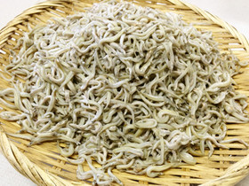 イカナゴの釜揚げ