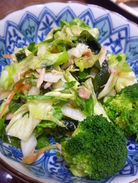 色鮮やか野菜サラダわかめin
