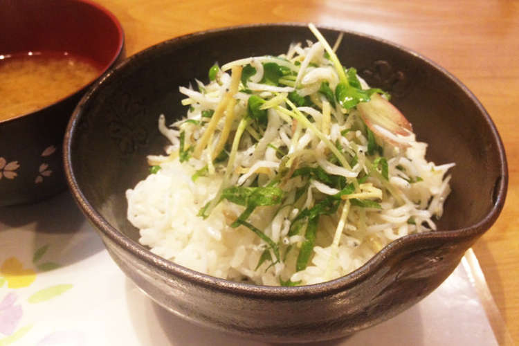 薬味いっぱいの釜揚げしらす丼 レシピ 作り方 By じぃまぁみぃ クックパッド 簡単おいしいみんなのレシピが364万品