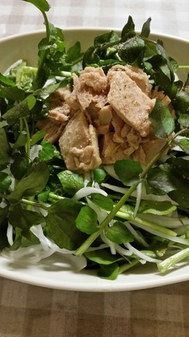 クレソンと新玉ねぎのサラダ
