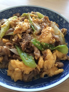 焼肉のタレで簡単豚肉と長ネギ卵の炒め物