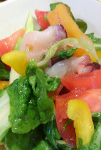 蛸と鯛白菜の菜の花塩レモンサラダ