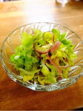 さっぱり＆コクあり♬春キャベツのサラダの画像